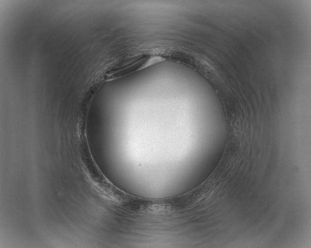 X0000063450546200602101651