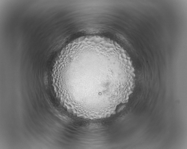 X0000063450549200602101651