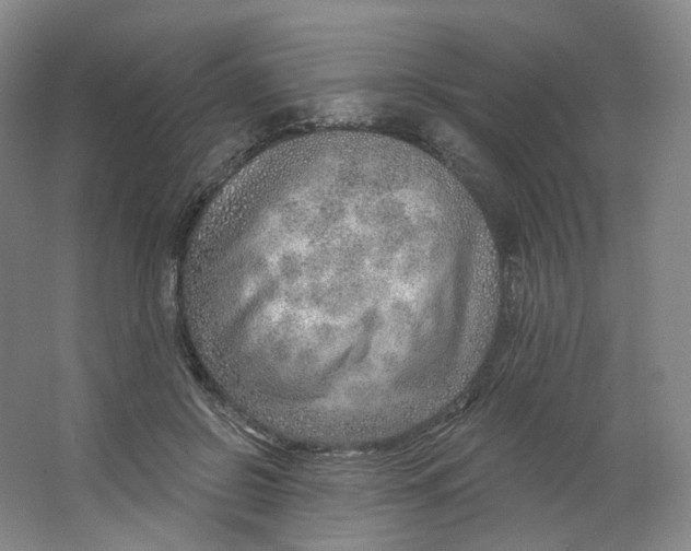 X0000063450550200602101651