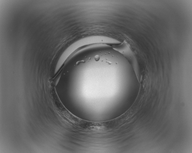 X0000063450552200602101651