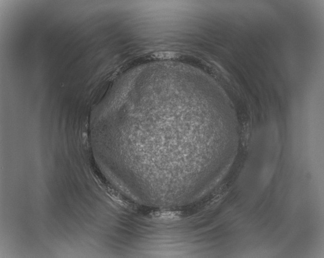 X0000063450553200602101651