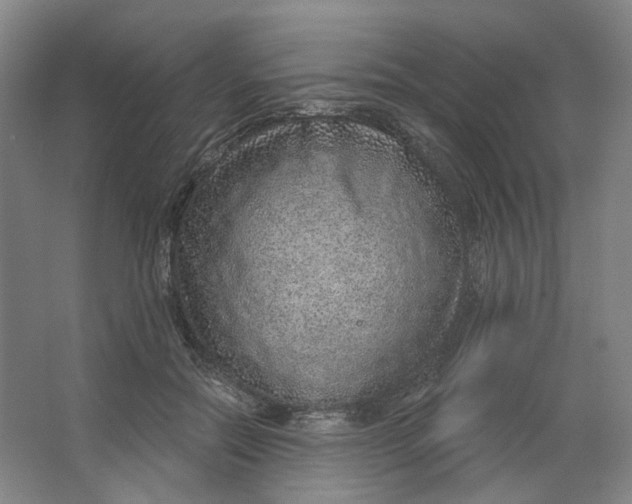 X0000063450554200602101651