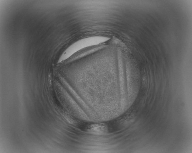 X0000063450555200602101651