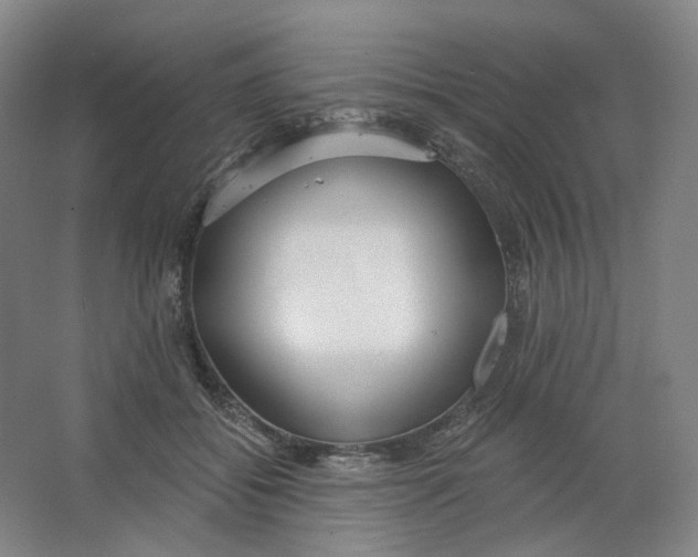 X0000063450556200602101651