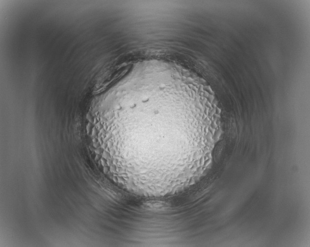 X0000063450557200602101651