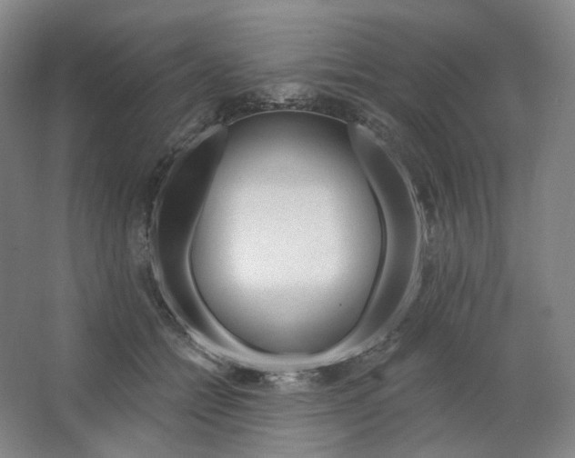 X0000063450558200602101651