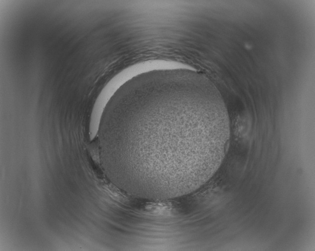 X0000063450559200602101651