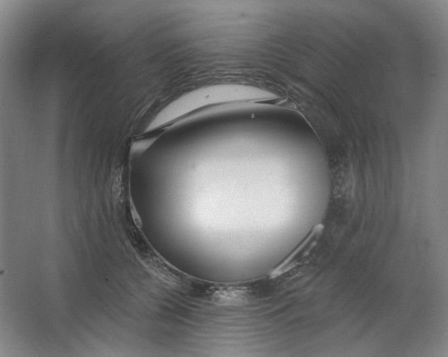 X0000063450560200602101651