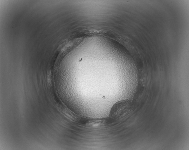 X0000063450563200602101651