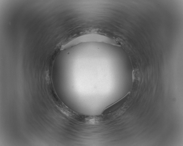 X0000063450564200602101651