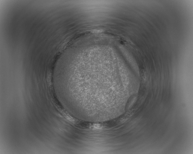 X0000063450565200602101651