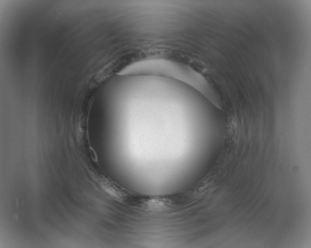 X0000063450566200602101651