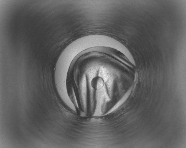 X0000063450570200602101651