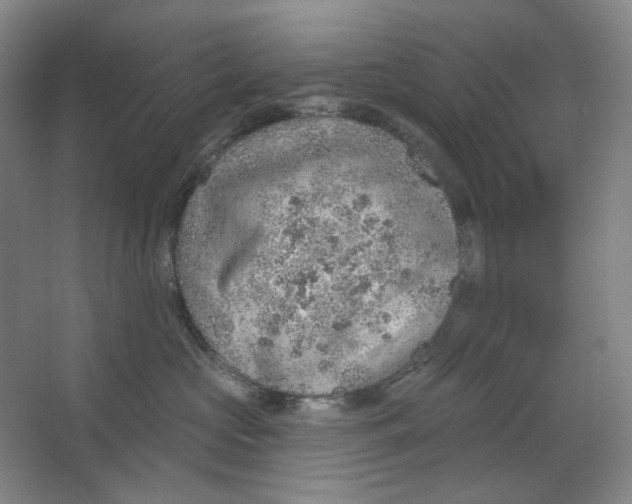 X0000063450573200602101651