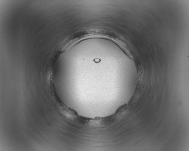 X0000063450574200602101651