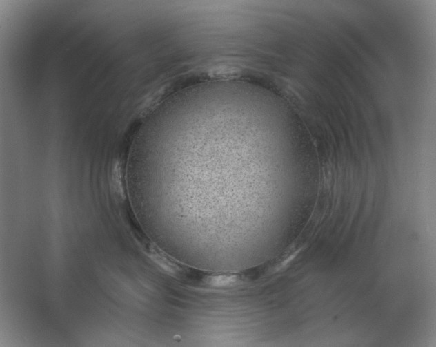 X0000063450575200602101651