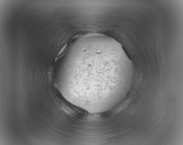 X0000063450576200602101651