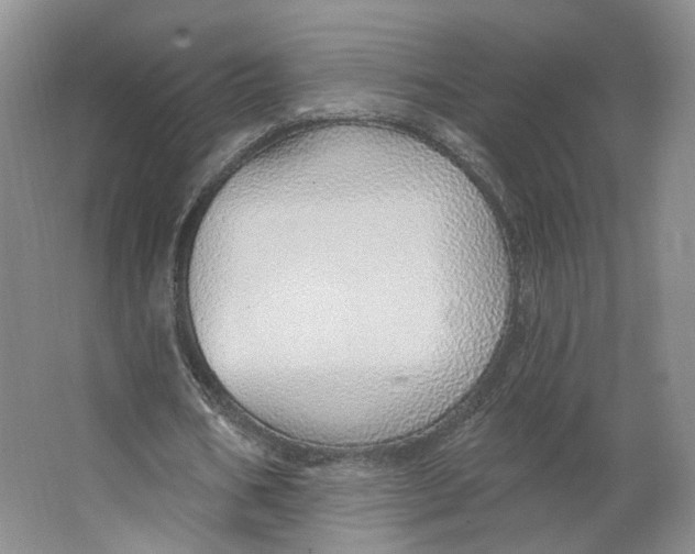 X0000063450578200602101651