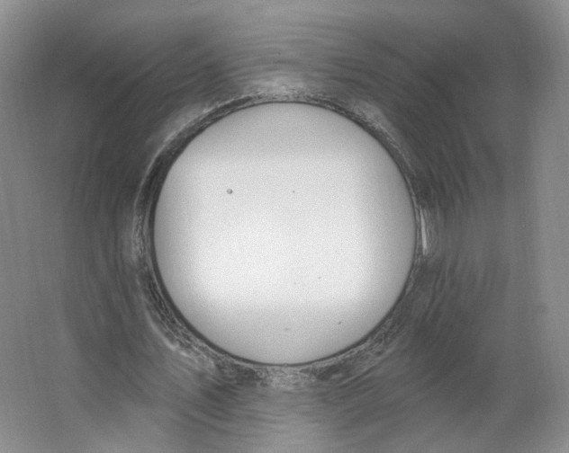 X0000063450579200602101651