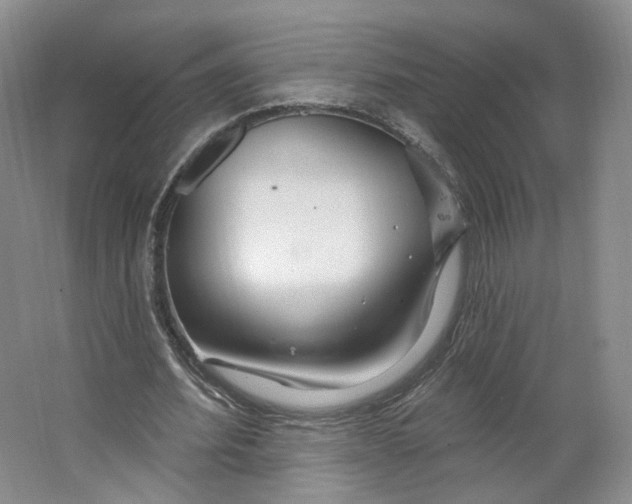 X0000063450580200602101651