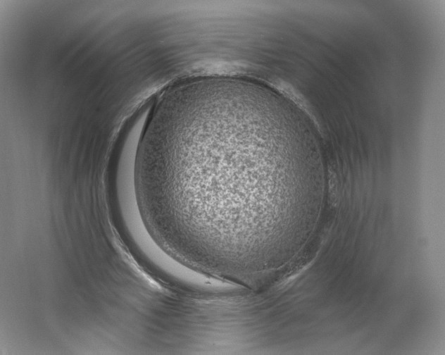 X0000063450581200602101651