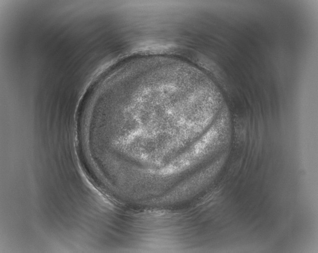 X0000063450582200602101650