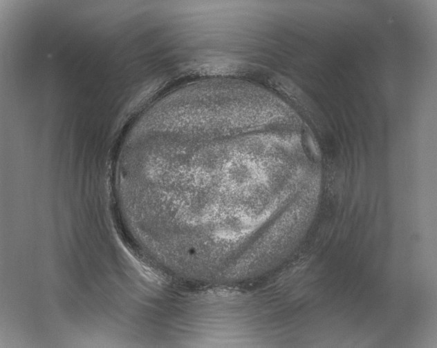 X0000063450586200602101650