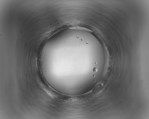 X0000063450589200602101650