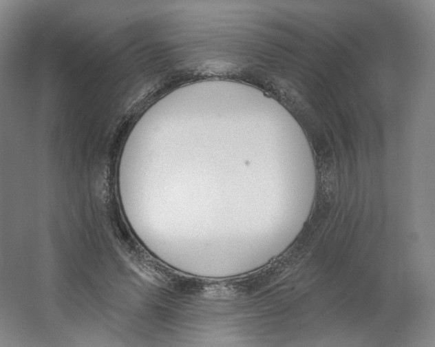 X0000063450591200602101650