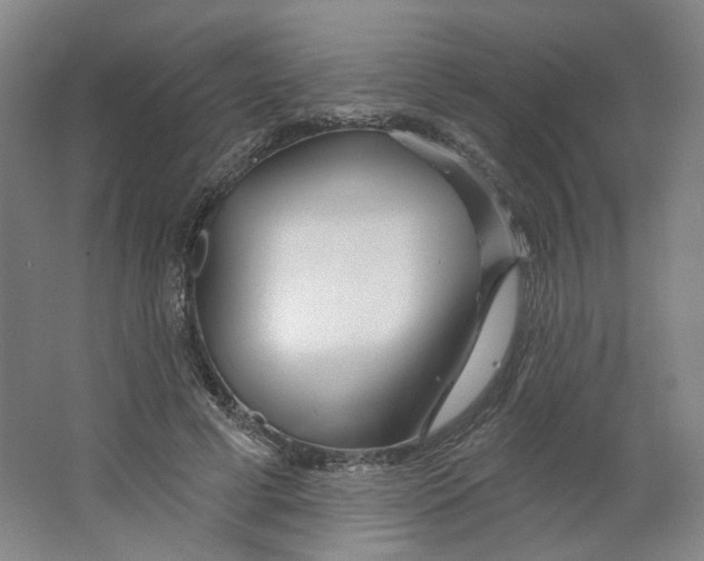 X0000063450593200602101650