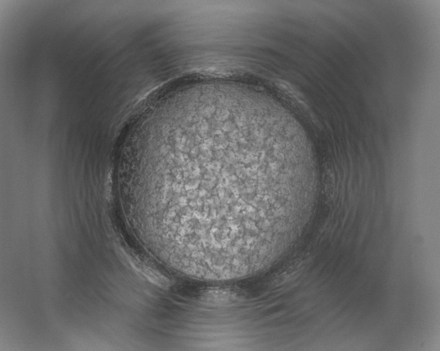 X0000063450596200602101650