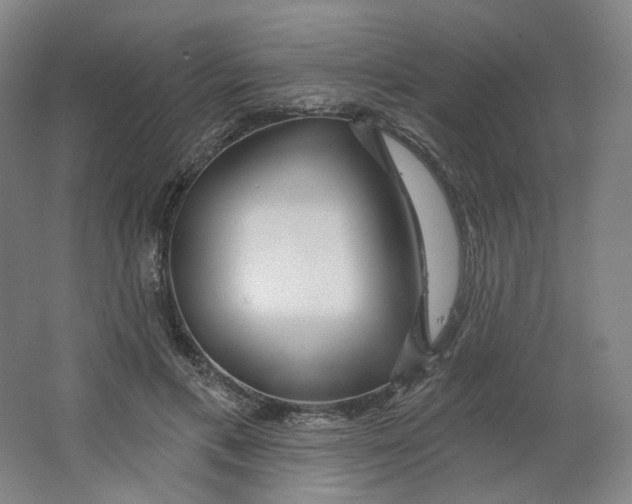 X0000063450597200602101650