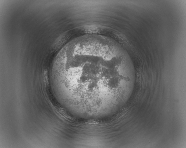 X0000063450598200602101650