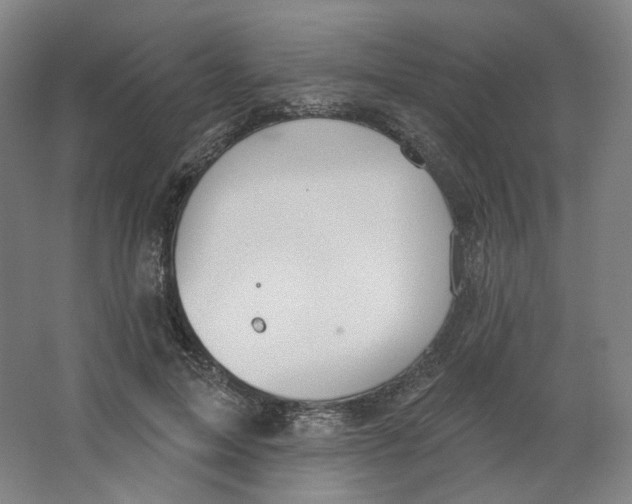 X0000063450599200602101650