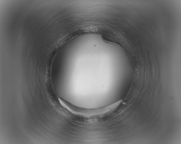 X0000063450600200602101650