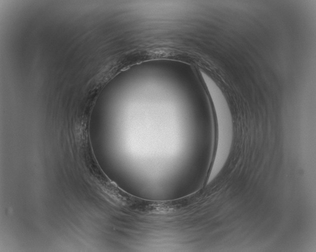 X0000063450601200602101650