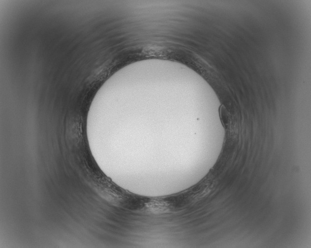 X0000063450603200602101650