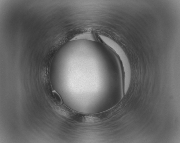 X0000063450605200602101650