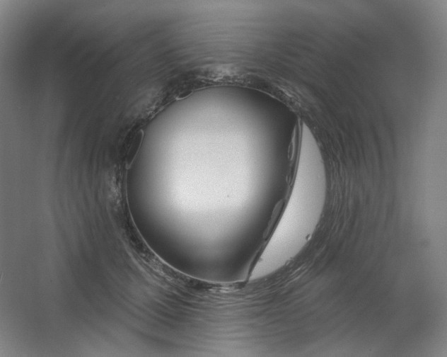 X0000063450607200602101650