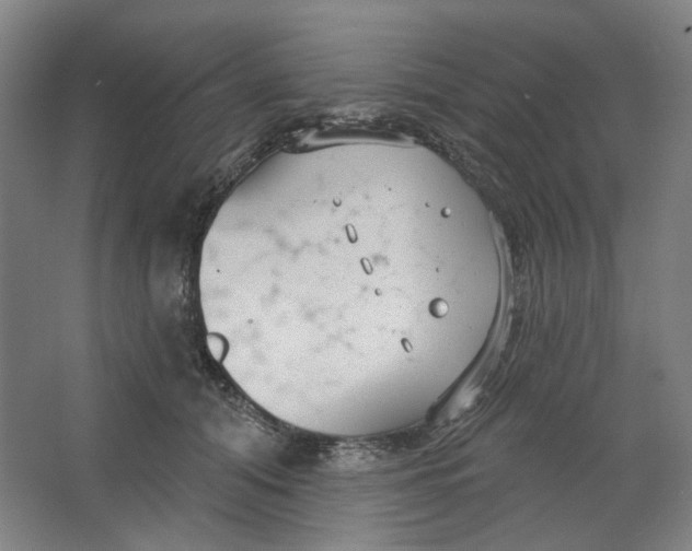 X0000063450608200602101650