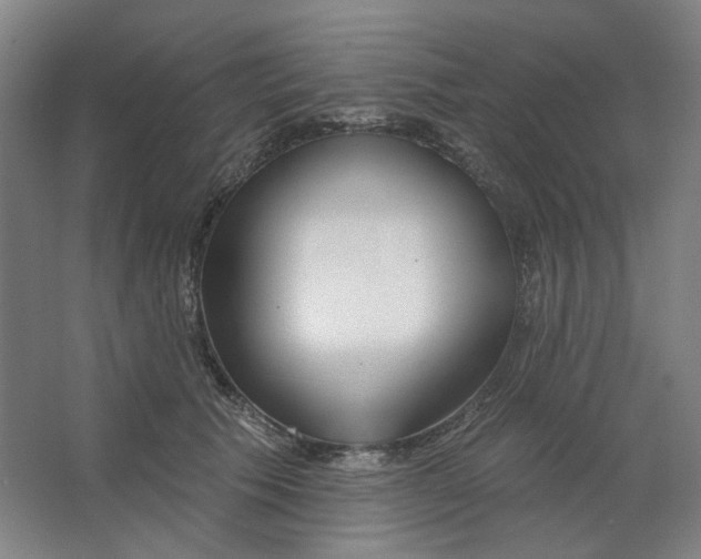 X0000063450609200602101650