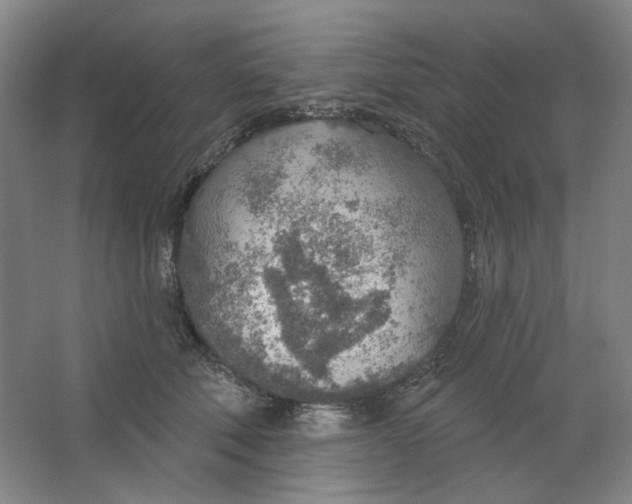 X0000063450610200602101650