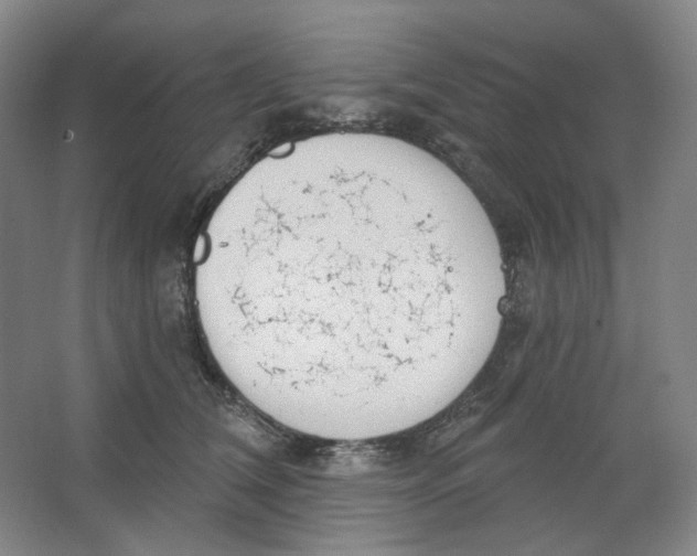 X0000063450612200602101650