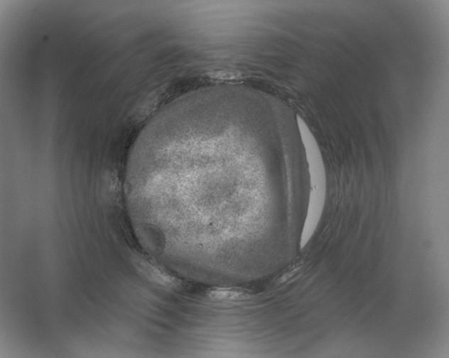 X0000063450614200602101650