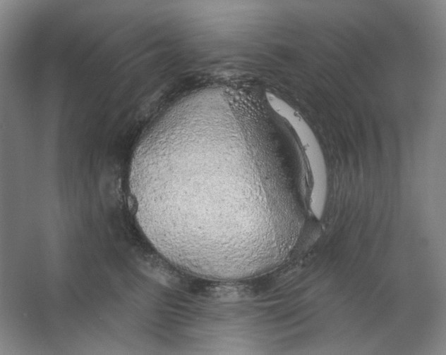 X0000063450615200602101650