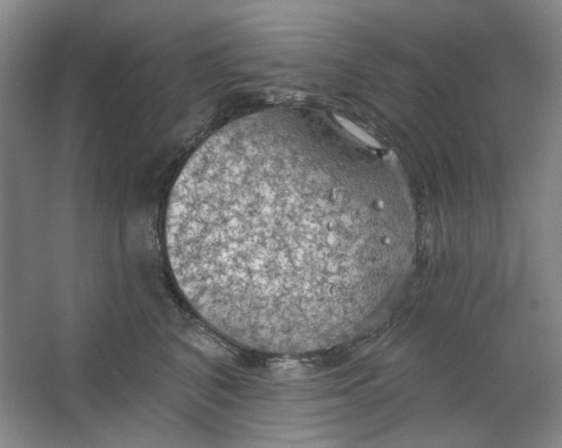 X0000063450616200602101650