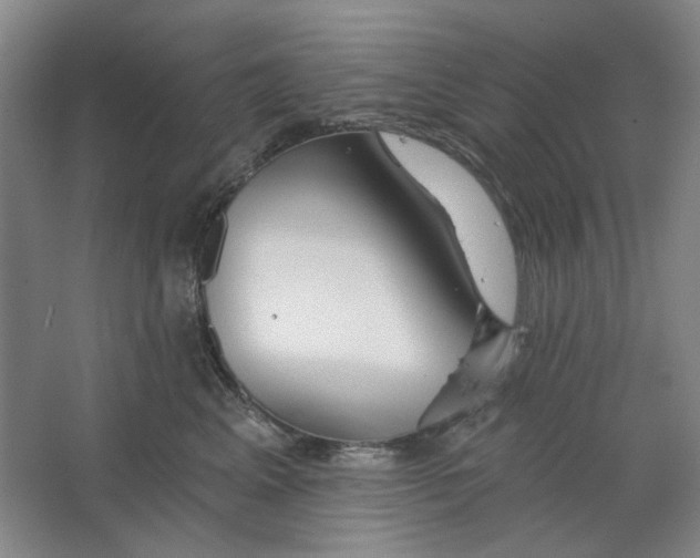 X0000063450617200602101650