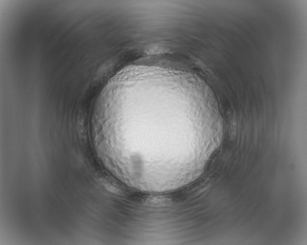 X0000063450619200602101650