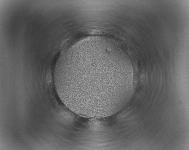 X0000063450620200602101650