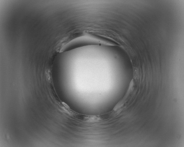 X0000063450621200602101650